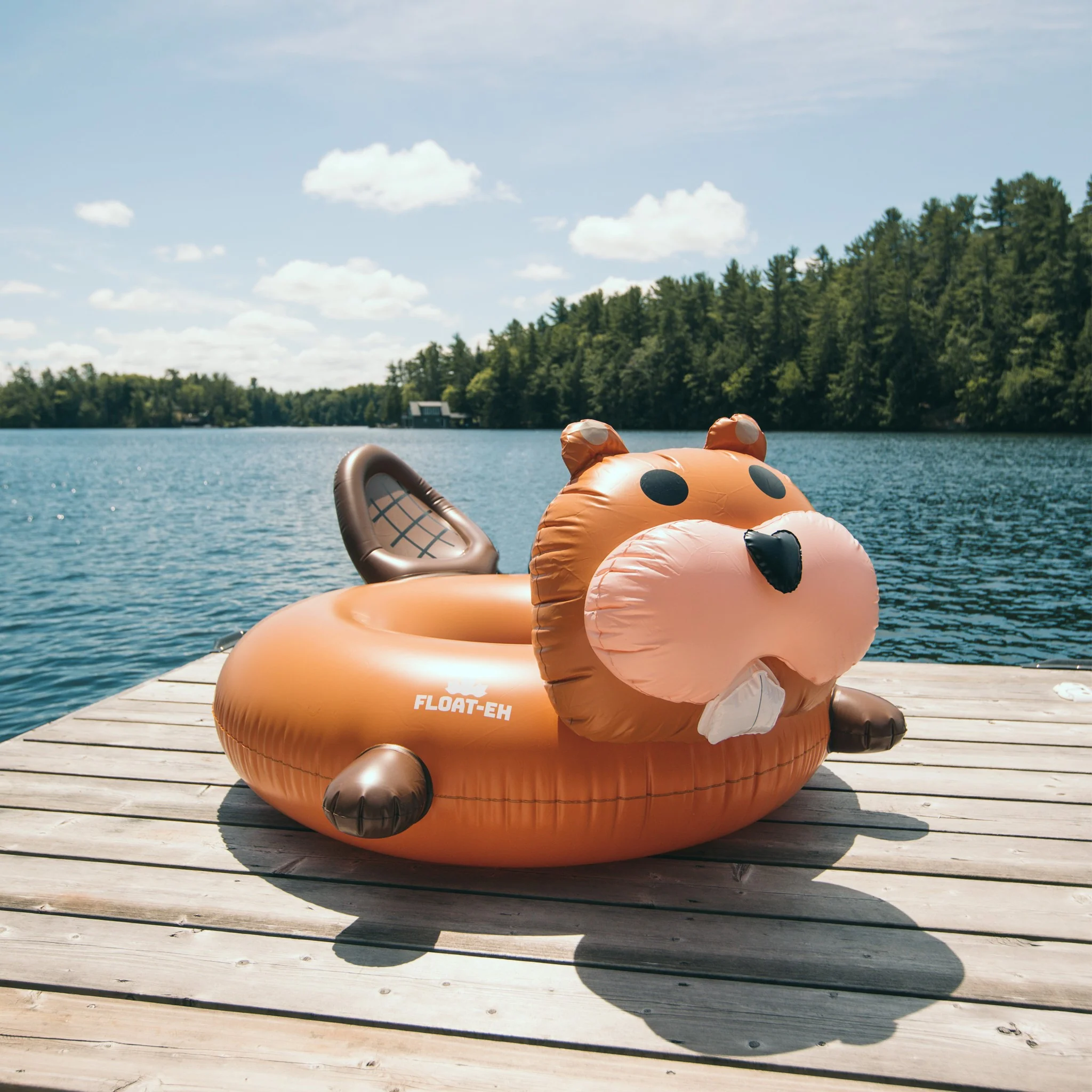 The Beaver - Adult Swimming Pool Float - Image 5