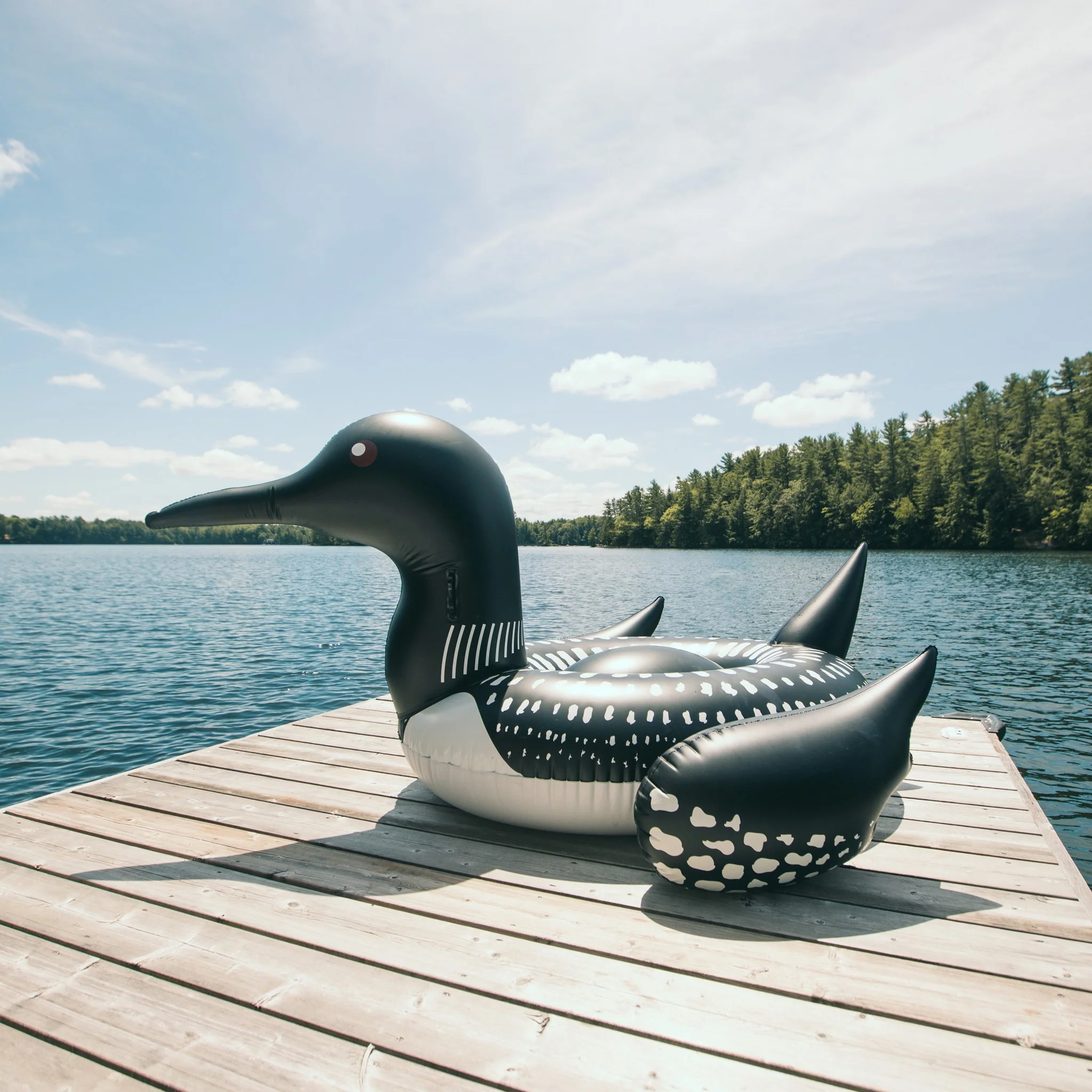 The Loon - Adult Swimming Pool Float - Image 6